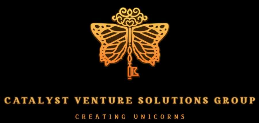 Catalyst Venture Solutions